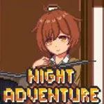 Night Adventure apk download